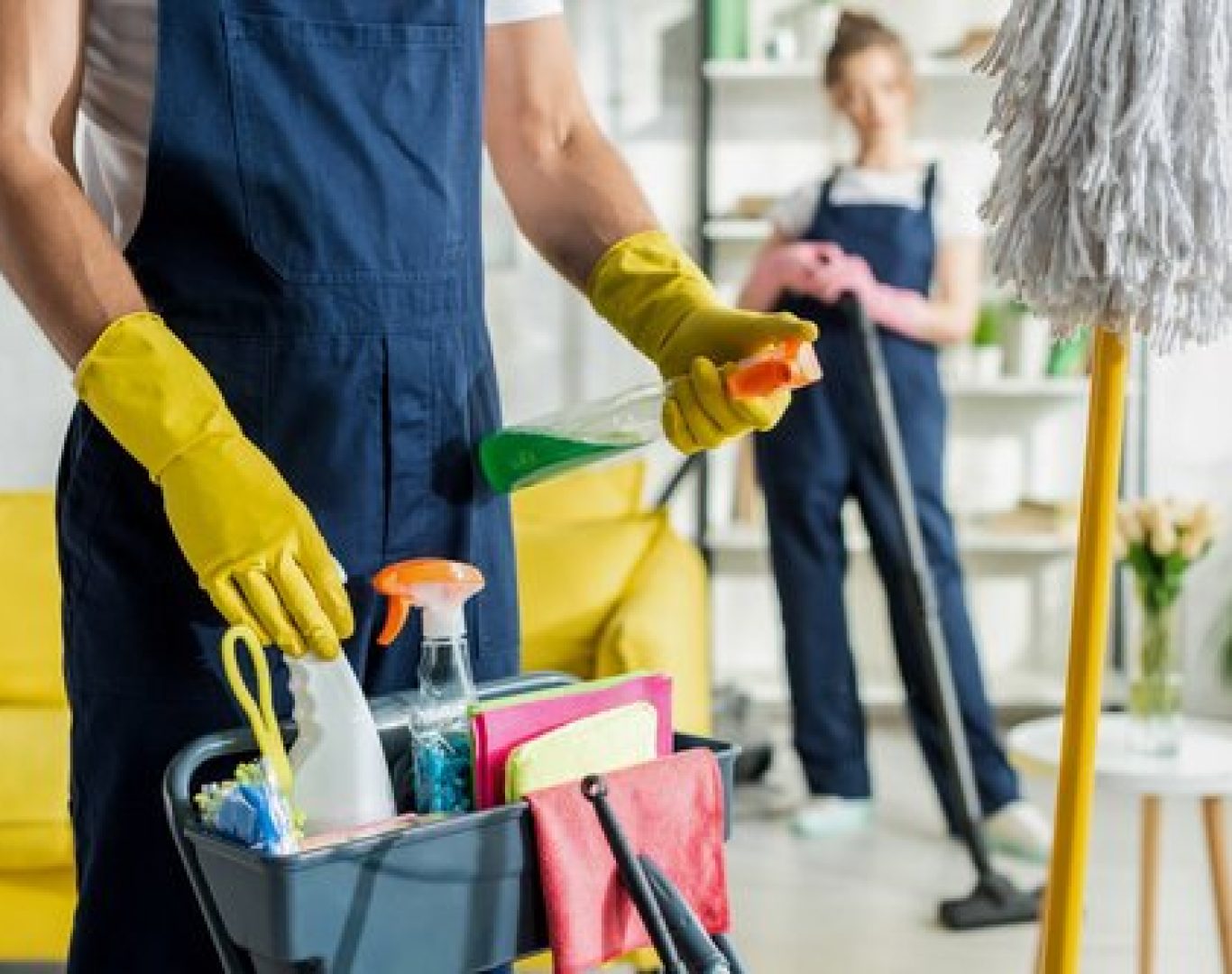 Professional house cleaning services Holly Springs NC living room cleaning