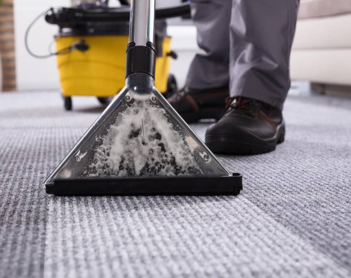 Professional carpet cleaning in Charlotte, NC - CJS Cleaning Solutions